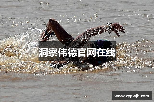 洞察伟德官网在线